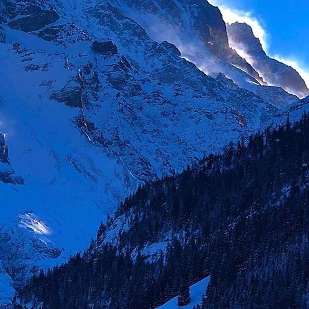 Romantisches Plaetzchen In Der Natur Grindelwald Exteriör bild