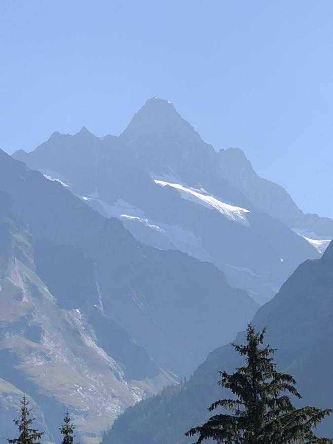 Romantisches Plaetzchen In Der Natur Grindelwald Exteriör bild