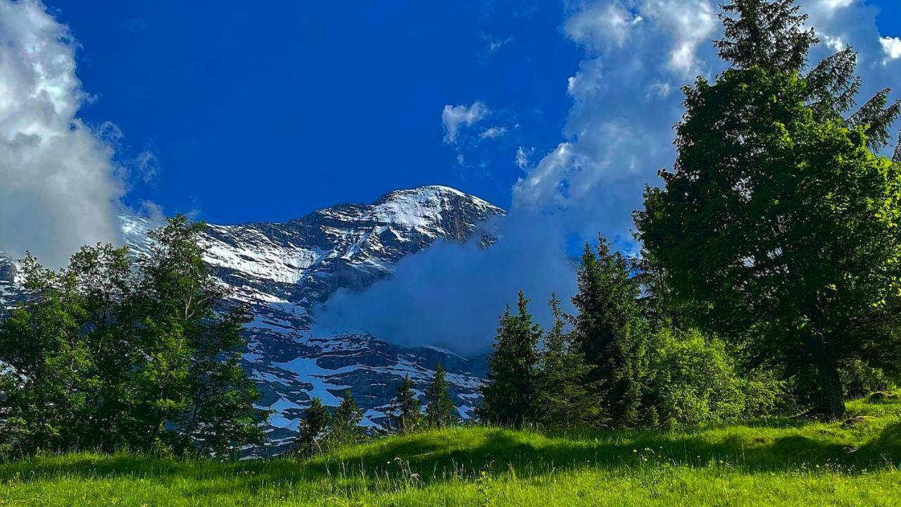 Romantisches Plaetzchen In Der Natur Grindelwald Exteriör bild