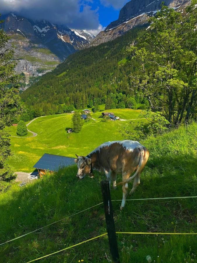 Romantisches Plaetzchen In Der Natur Grindelwald Exteriör bild