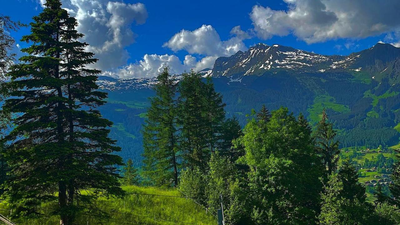Romantisches Plaetzchen In Der Natur Grindelwald Exteriör bild