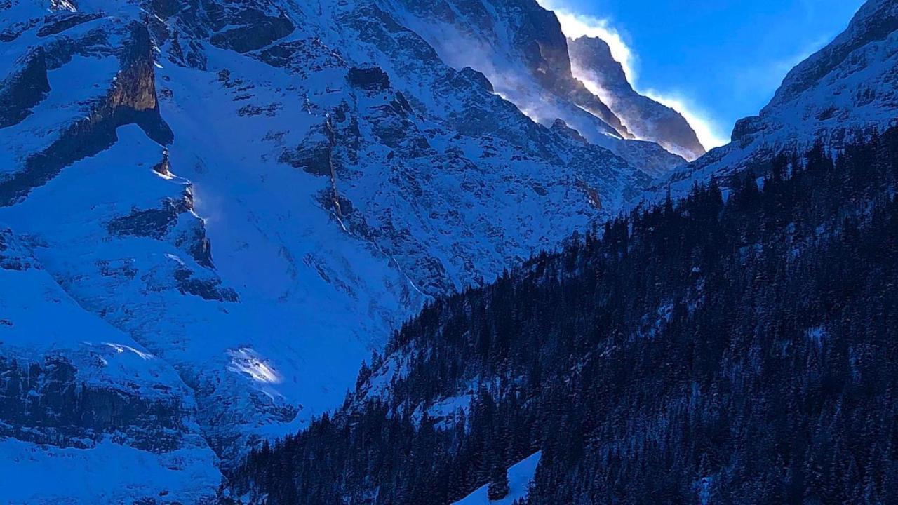 Romantisches Plaetzchen In Der Natur Grindelwald Exteriör bild