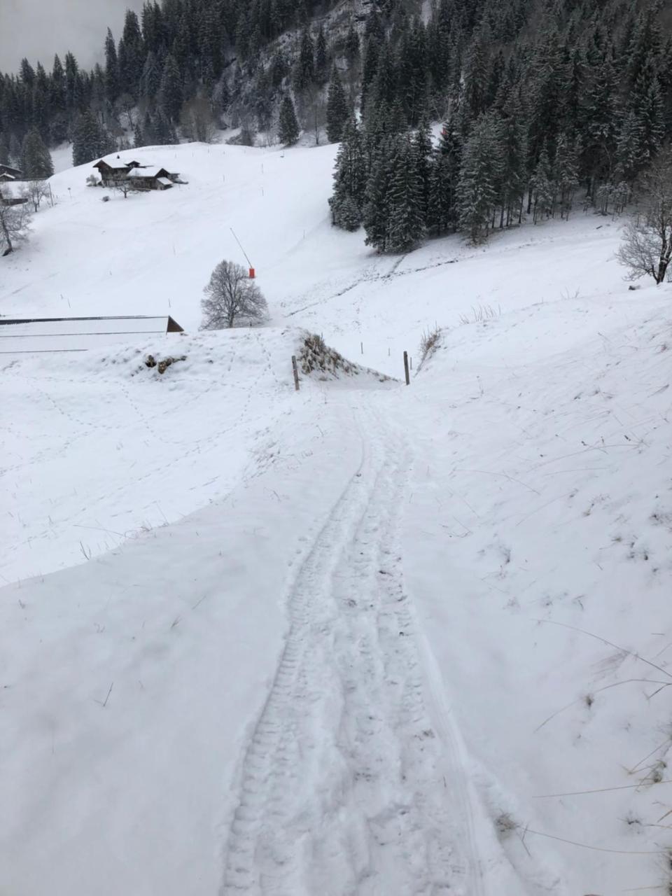 Romantisches Plaetzchen In Der Natur Grindelwald Exteriör bild