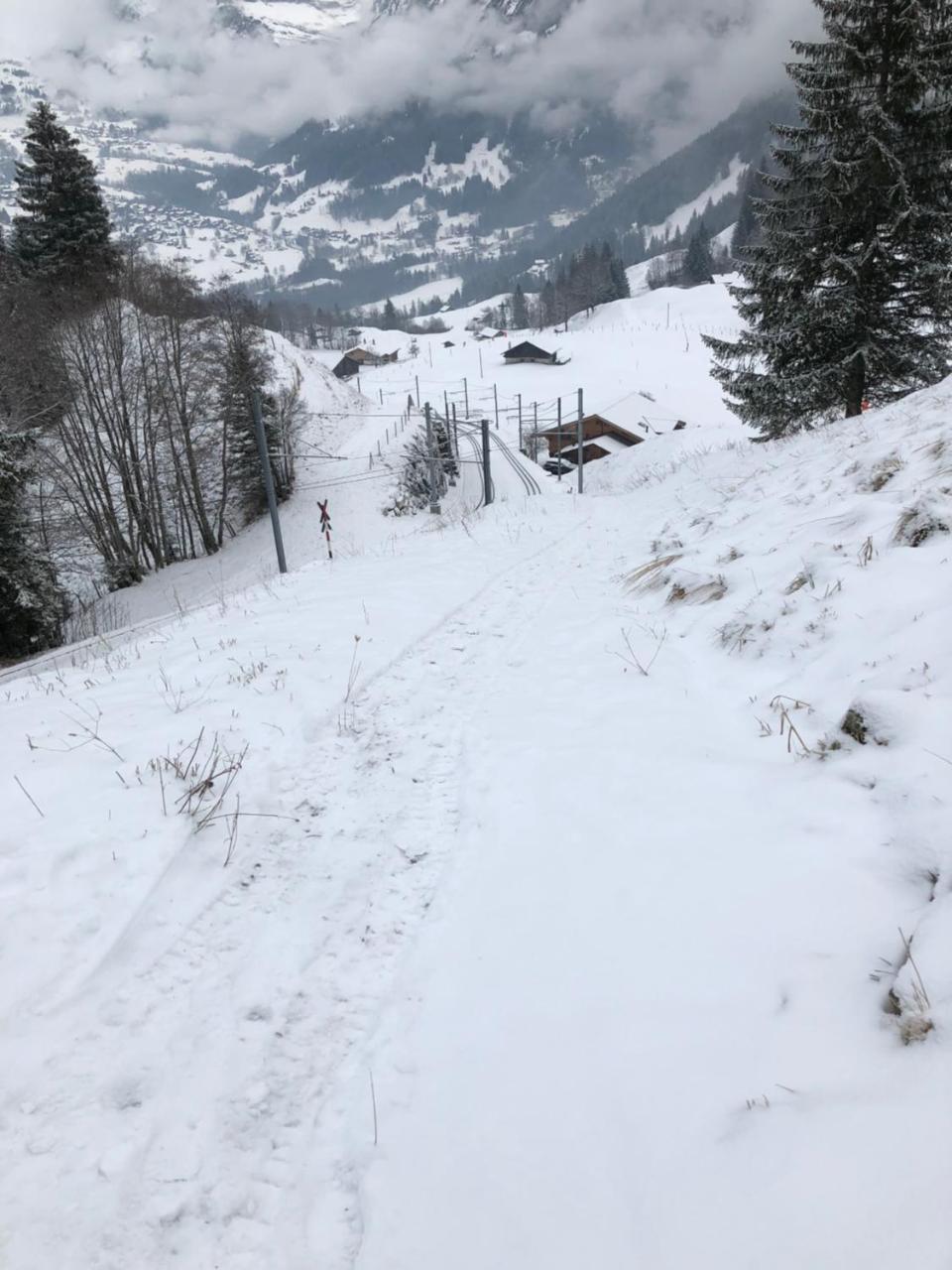Romantisches Plaetzchen In Der Natur Grindelwald Exteriör bild