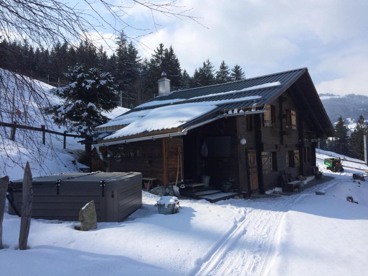 Romantisches Plaetzchen In Der Natur Grindelwald Exteriör bild