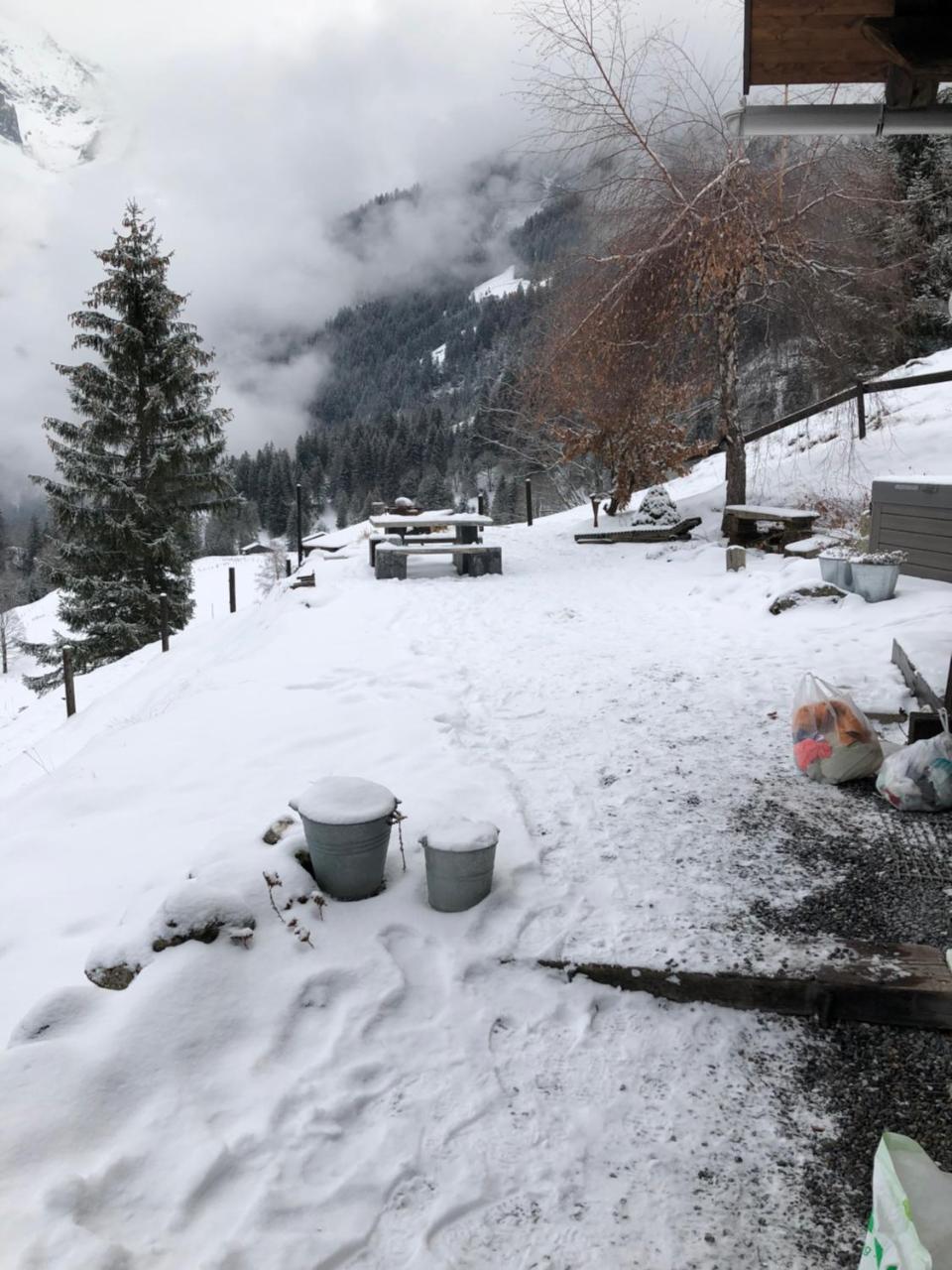 Romantisches Plaetzchen In Der Natur Grindelwald Exteriör bild