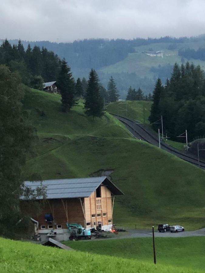 Romantisches Plaetzchen In Der Natur Grindelwald Exteriör bild